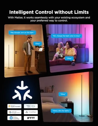 Govee RGBIC Floor Lamp Basic, 1000lm LED Corner Lamp Compatible with SmartThings, Alexa, and Matter, Modern Floor Lamp with Music Sync and 16 Million
