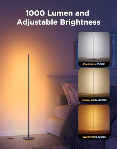 Govee RGBIC Floor Lamp Basic, 1000lm LED Corner Lamp Compatible with SmartThings, Alexa, and Matter, Modern Floor Lamp with Music Sync and 16 Million